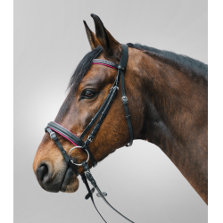 Bridon Star Diamond Fúcsia