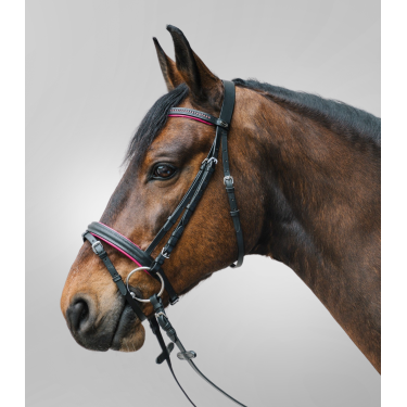 Bridon Star Diamond Fúcsia