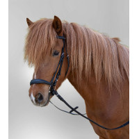 Bridon Star Hannover Preto Bridon Star Hannover Preto