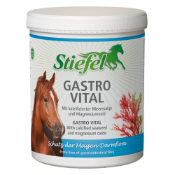 Gastro Vital Stiefel