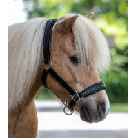 Cabresto de couro Star Diamond Preto / prata