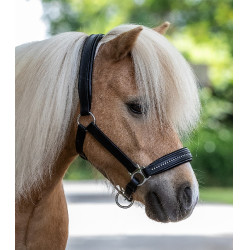 Cabresto de couro Star Diamond Cabresto de couro Star Diamond