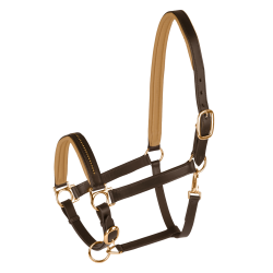 Cabresto de couro Star Diamond Cabresto de couro Star Diamond
