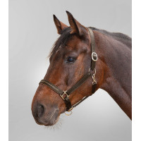 Cabresto de couro Star Diamond Castanho / dourado Cabresto de couro Star Diamond Castanho / dourado