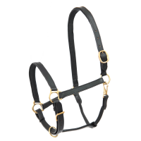 Cabresto de couro Star Robust Preto