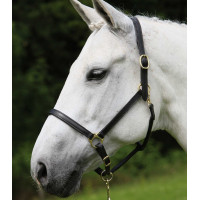 Cabresto de couro Star Robust Preto