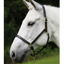 Cabresto de couro Star Robust Cabresto de couro Star Robust