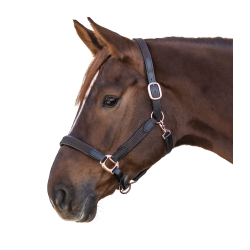 Caveção Star Mix Castanho / dourado rosé Caveção Star Mix Castanho / dourado rosé