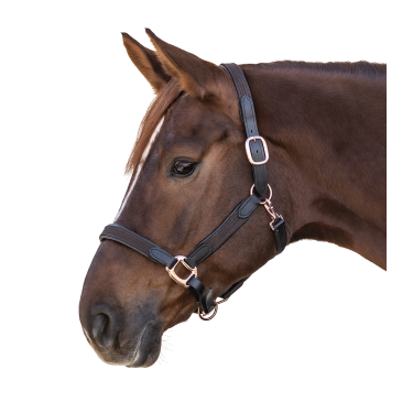 Caveção Star Mix Castanho / dourado rosé Caveção Star Mix Castanho / dourado rosé