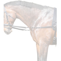 Rendas fixas em nylon Star Preto