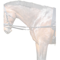 Rendas fixas em nylon Star Preto