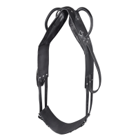 Cilheira Star para volteio e trabalho à guia Preto Cilheira Star para volteio e trabalho à guia Preto