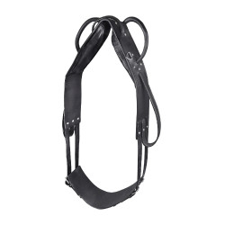 Cilheira Star para volteio e trabalho à guia Preto