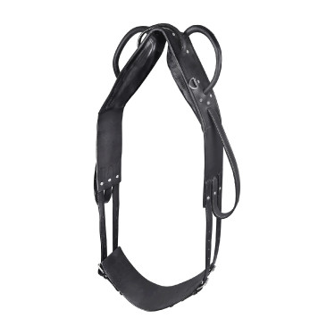 Cilheira Star para volteio e trabalho à guia Preto