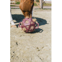 Bola de jogo / bola de feno Kentucky Cinzento