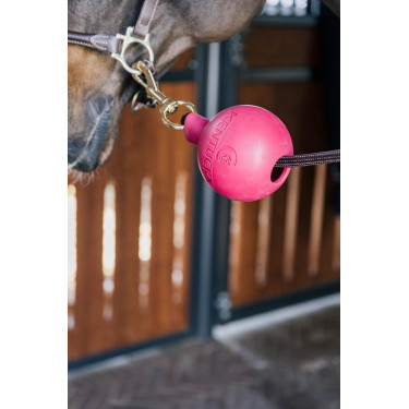 Bola de proteção de atilho Kentucky Rosa claro Bola de proteção de atilho Kentucky Rosa claro