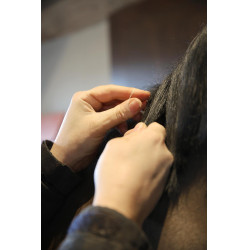 Elásticos Grooming Deluxe da Kentucky Natural Castanho Elásticos Grooming Deluxe da Kentucky Natural Castanho