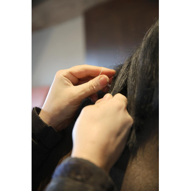 Elásticos Grooming Deluxe da Kentucky Natural Castanho Elásticos Grooming Deluxe da Kentucky Natural Castanho