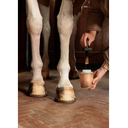 Óleo para Cascos Shine Grooming Deluxe by Kentucky Natural Castanho