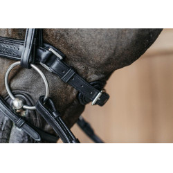 Muserola combinada trançada com Pull pack Dy'on New English Collection Preto