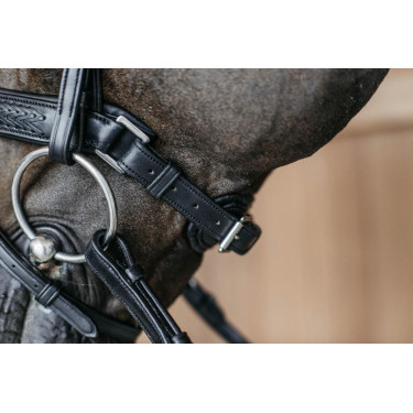 Muserola combinada trançada com Pull pack Dy'on New English Collection Preto