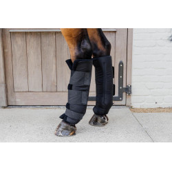 Proteções de estábulo PROtect Classic posteriores Kentucky Preto Proteções de estábulo PROtect Classic posteriores Kentucky Preto