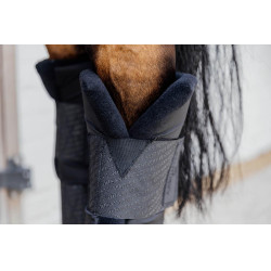 Proteções de estábulo PROtect Classic posteriores Kentucky Preto Proteções de estábulo PROtect Classic posteriores Kentucky Preto