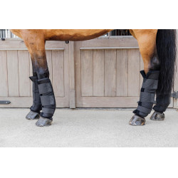 Proteções de estábulo PROtect Classic posteriores Kentucky Preto Proteções de estábulo PROtect Classic posteriores Kentucky Preto