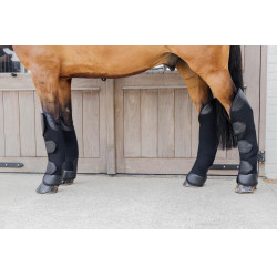 Protetores de Transporte 3D Spacer Anteriores Kentucky Preto