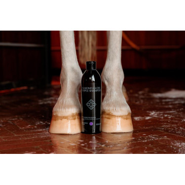 Shampoo Roxo com Amêndoa Grooming Deluxe da Kentucky Shampoo Roxo com Amêndoa Grooming Deluxe da Kentucky