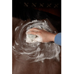 Shampoo Sólido Grooming Deluxe by Kentucky Amêndoa Castanho Shampoo Sólido Grooming Deluxe by Kentucky Amêndoa Castanho