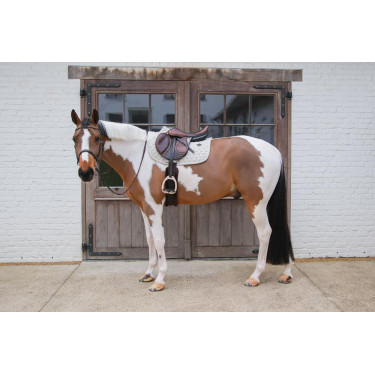 Sela Kentucky Melange Jumping Bege Sela Kentucky Melange Jumping Bege