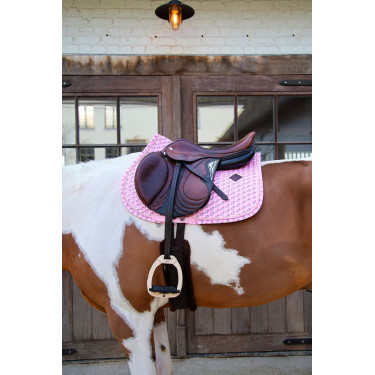 Sela Kentucky Sammy Collection Jumping Horsewear Sela Kentucky Sammy Collection Jumping Horsewear