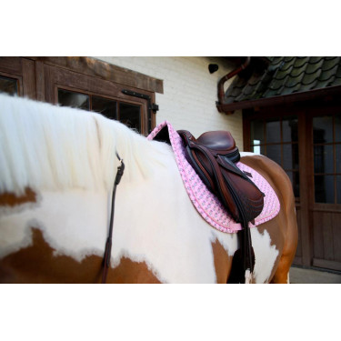 Sela Kentucky Sammy Collection Jumping Horsewear Sela Kentucky Sammy Collection Jumping Horsewear