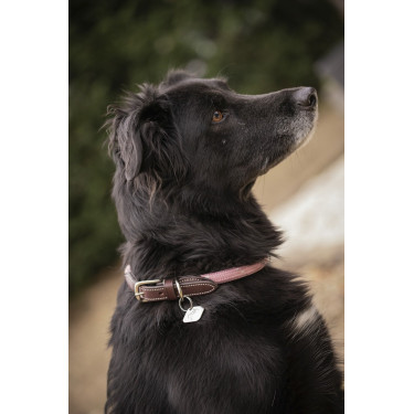 Coleira para cão Penelope Billie Coleira para cão Penelope Billie