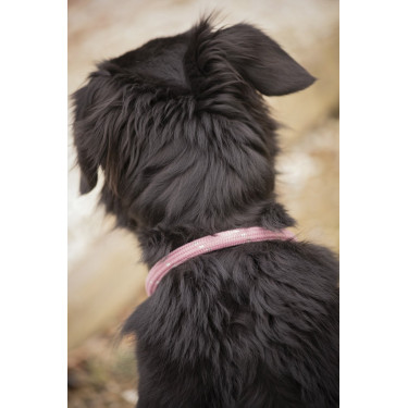 Coleira para cão Penelope Billie Coleira para cão Penelope Billie