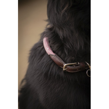 Coleira para cão Penelope Billie Coleira para cão Penelope Billie