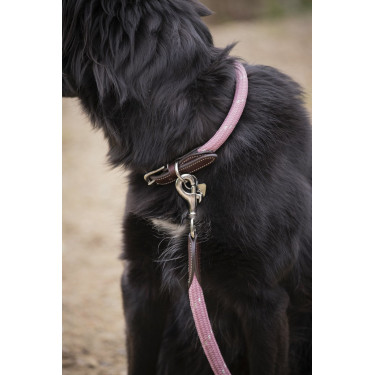 Coleira para cão Penelope Billie Coleira para cão Penelope Billie