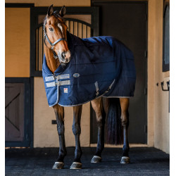 Cobertura de estábulo Horseware Rhino 350g VL