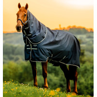 Cobertura Horseware Amigo Ripstop 900D Plus Poney Turnout 200g Preto / azul clássico Cobertura Horseware Amigo Ripstop 900D Plus Poney Turnout 200g Preto / azul clássico