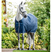 Cobertura de estábulo Horseware Ionic Therapy 50g Bleu imperial / argent /Marine Azul Cobertura de estábulo Horseware Ionic Therapy 50g Bleu imperial / argent /Marine Azul