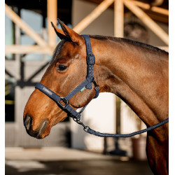 Cabresto e guia Amigo Horseware Marinho Azul-marinho