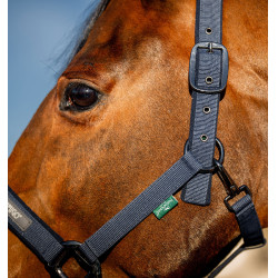 Cabresto e guia Amigo Horseware Marinho Azul-marinho