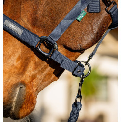 Cabresto e guia Amigo Horseware Marinho Azul-marinho