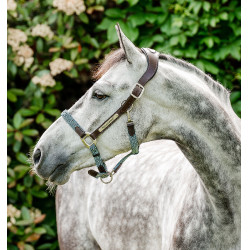 Caveção trançado Horseware Signature Castanho / marinho / nevoeiro azul Multicolor