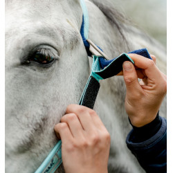 Cabeçada Especial para Pastagem Horseware® Fieldsafe Névoa azul Cabeçada Especial para Pastagem Horseware® Fieldsafe Névoa azul