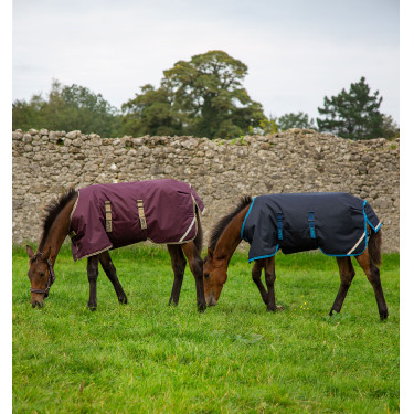 Cobertura para potro Horseware Amigo Ripstop Foal 50g Cobertura para potro Horseware Amigo Ripstop Foal 50g