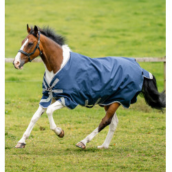 Cobertura Horseware Amigo Bravo 12 XL 250g Cobertura Horseware Amigo Bravo 12 XL 250g