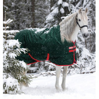 Capa de exterior Horseware Rambo Original 400g Verde / vermelho Capa de exterior Horseware Rambo Original 400g Verde / vermelho