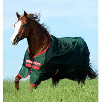 Capa de exterior Horseware Rambo Original 0g Verde / vermelho Capa de exterior Horseware Rambo Original 0g Verde / vermelho